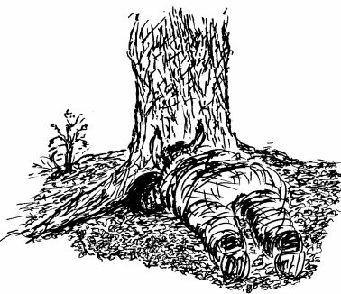 Big-Lugs peers down the rabbit hole