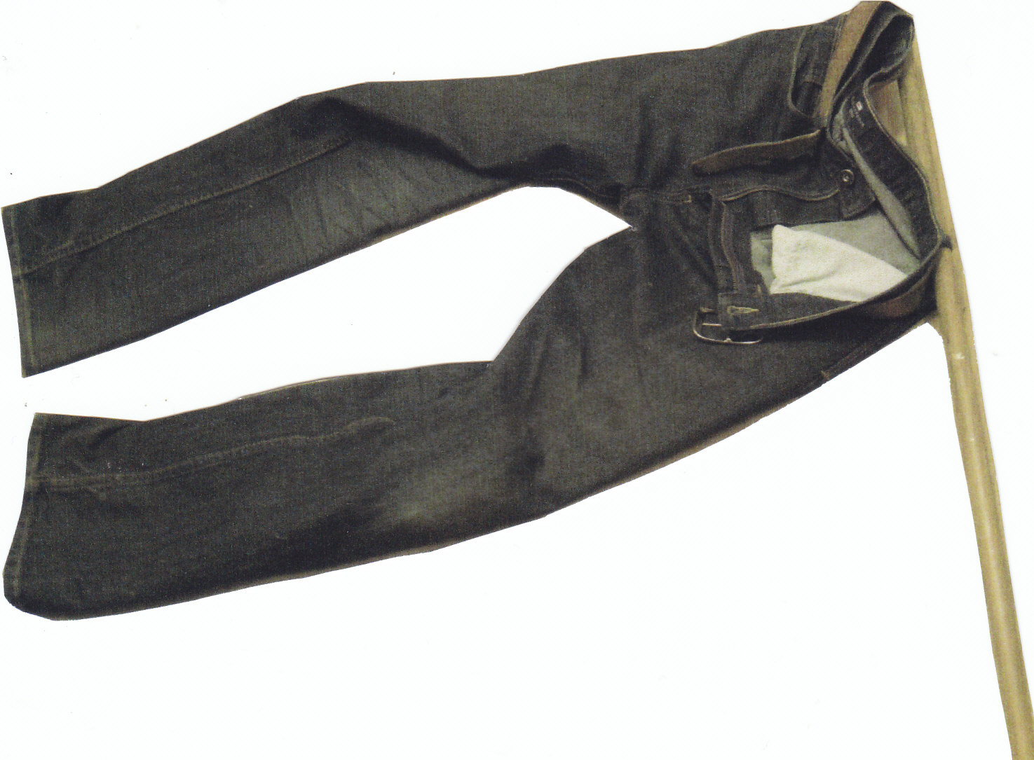 The Banner: a pair of jeans on a pole