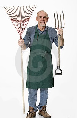 Old Wullum the gardener (Unknown)